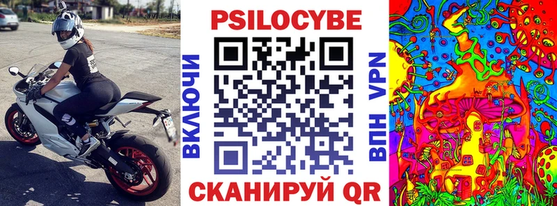 Галлюциногенные грибы мицелий  дарнет шоп  Дятьково 
